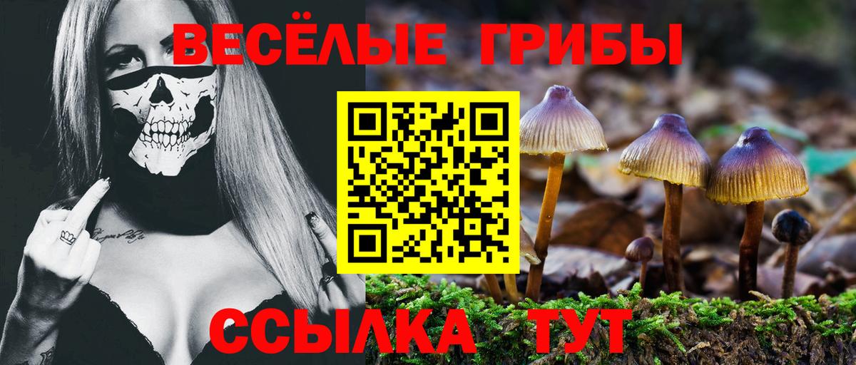 Псилоцибиновые грибы прущие грибы  Вход с VPN  Бузулук 
