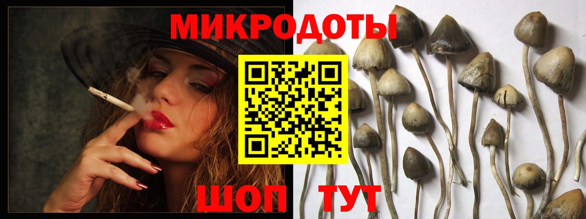 Псилоцибиновые грибы Cubensis Бузулук